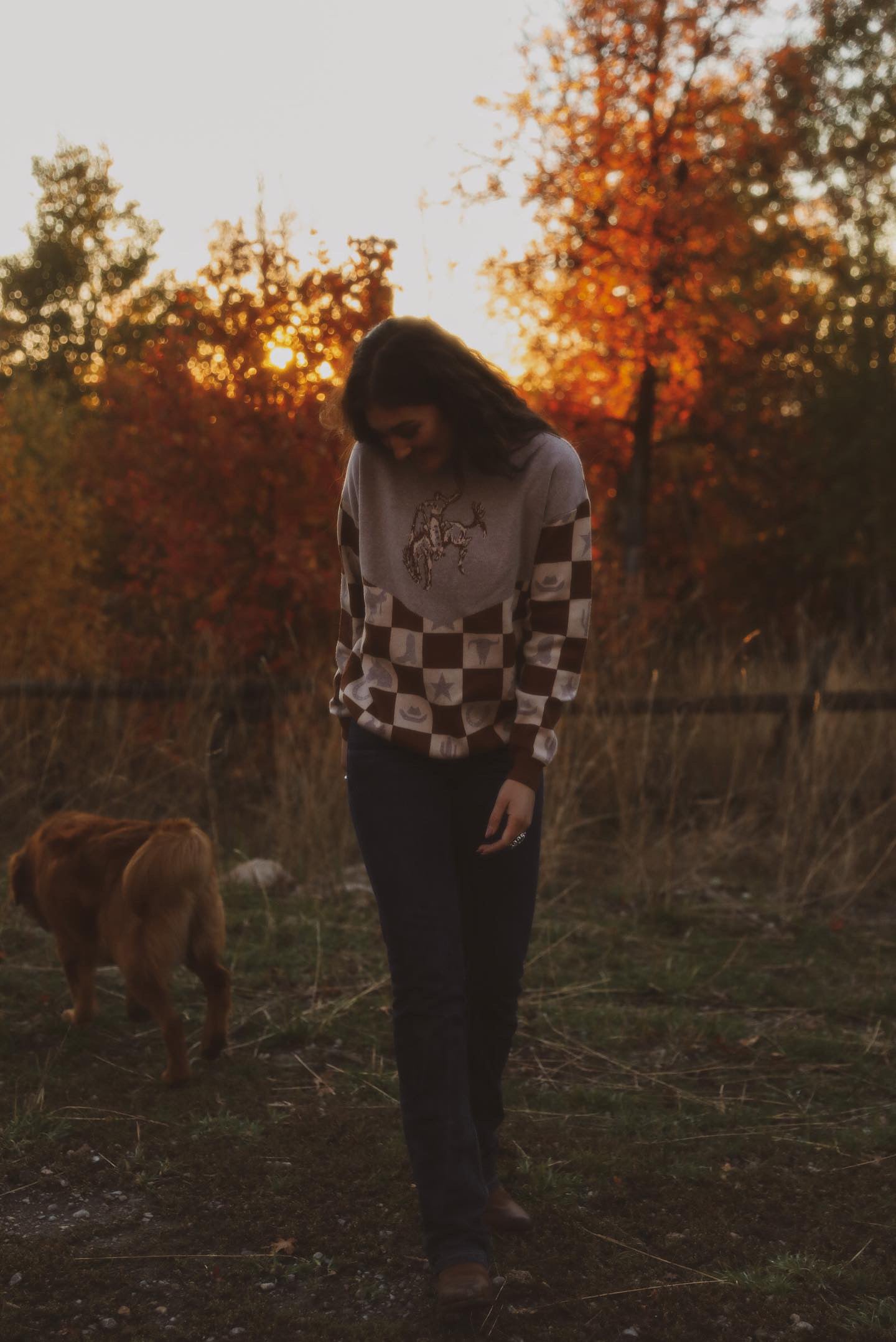 Wild checkmate sweater
